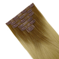 Chestnut brown to blonde